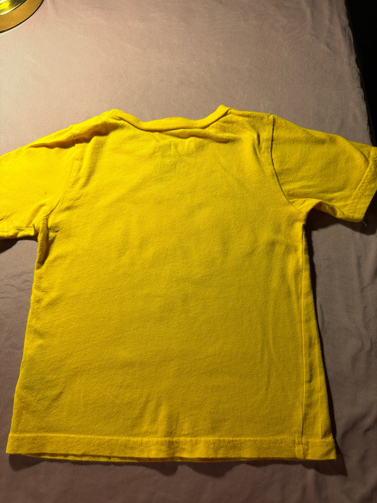 Los Angeles Lakers NBA Kids Graphic T-Shirt – Size 4T