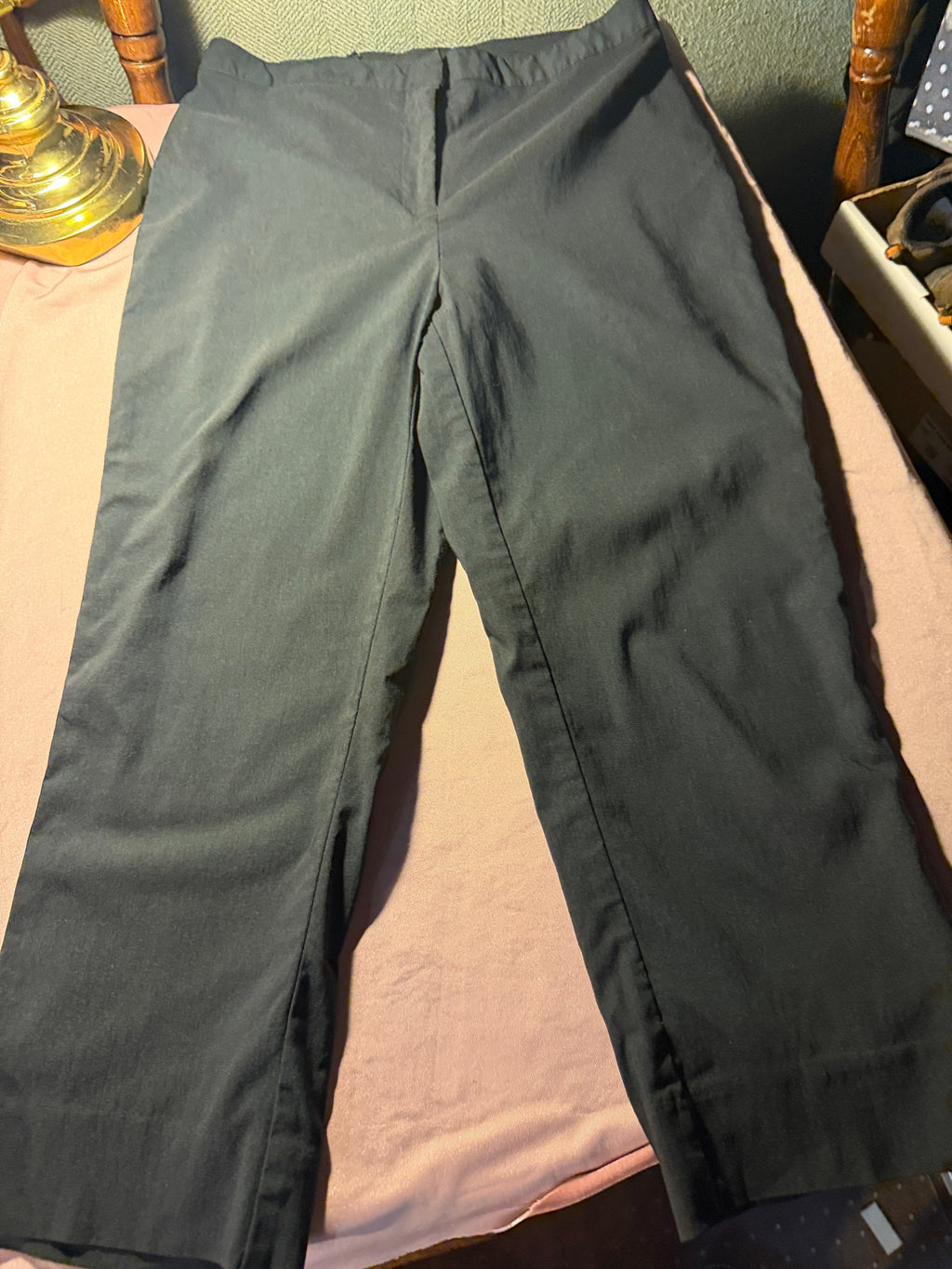 Express World Brand Stretch Dress Pants – Size 7/8