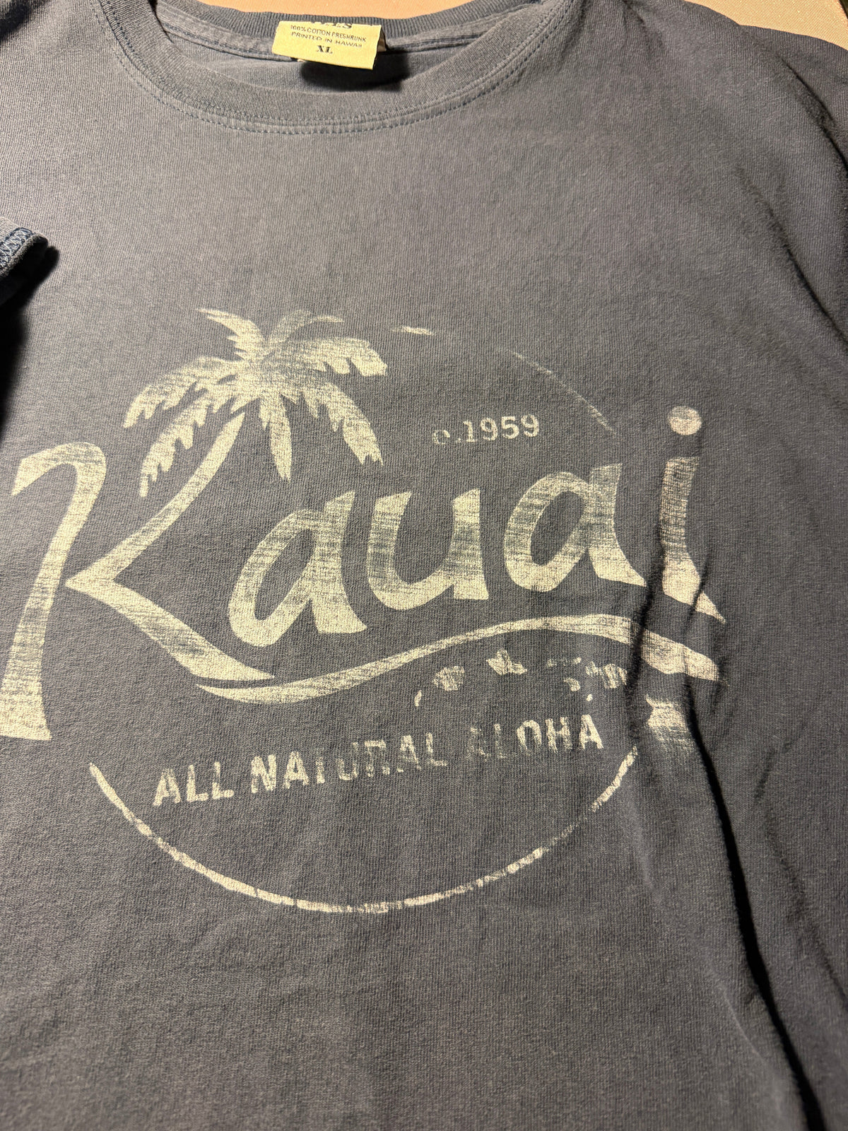 Kauai All Natural Aloha Graphic Tee – Colorwash Tees XL