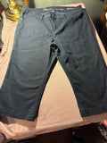Natural Reflections Platinum Stretch Capri Pants – Size 10
