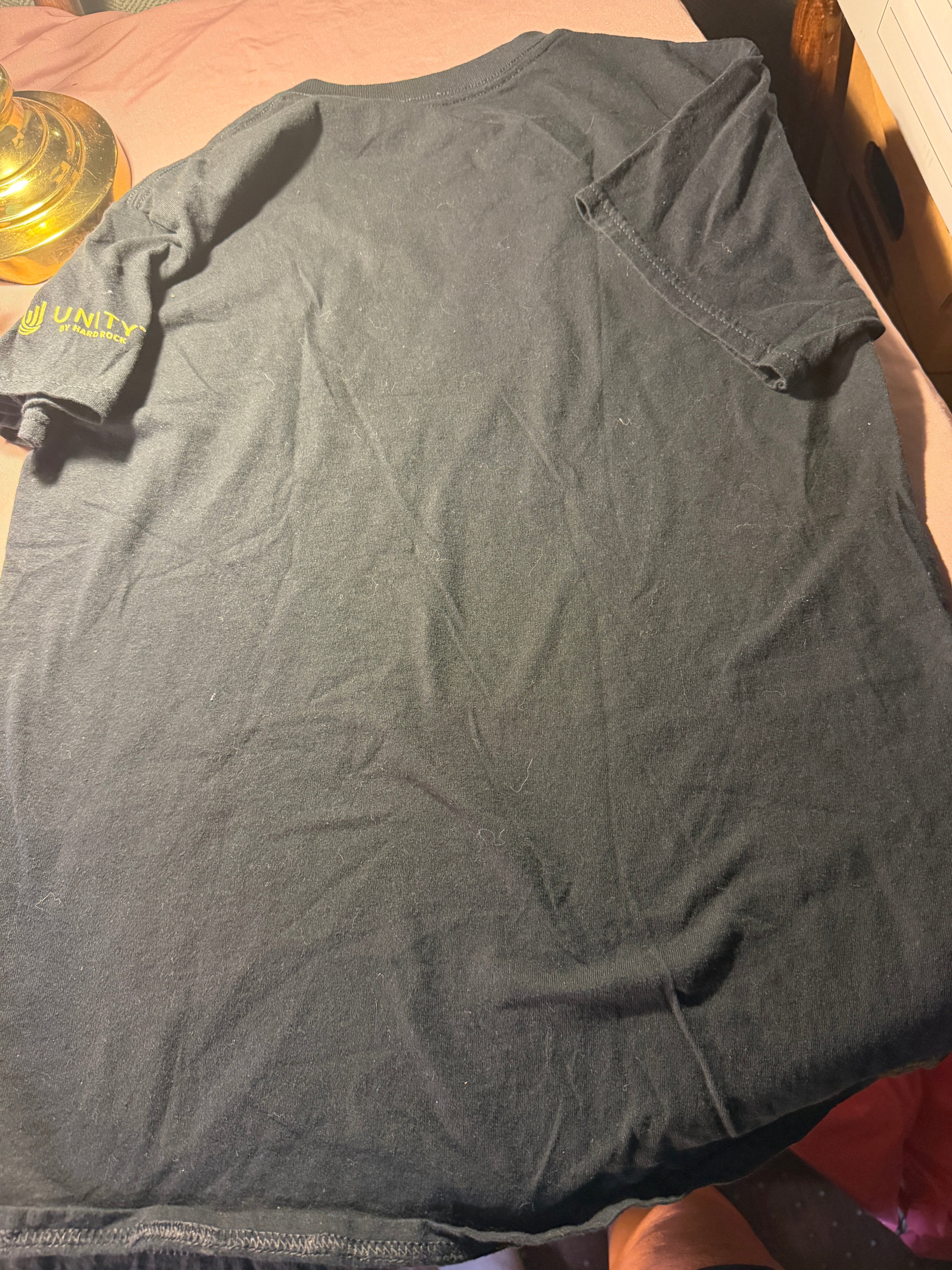 Seminole Hard Rock Hotel & Casino Hollywood FL Graphic Tee – Charcoal