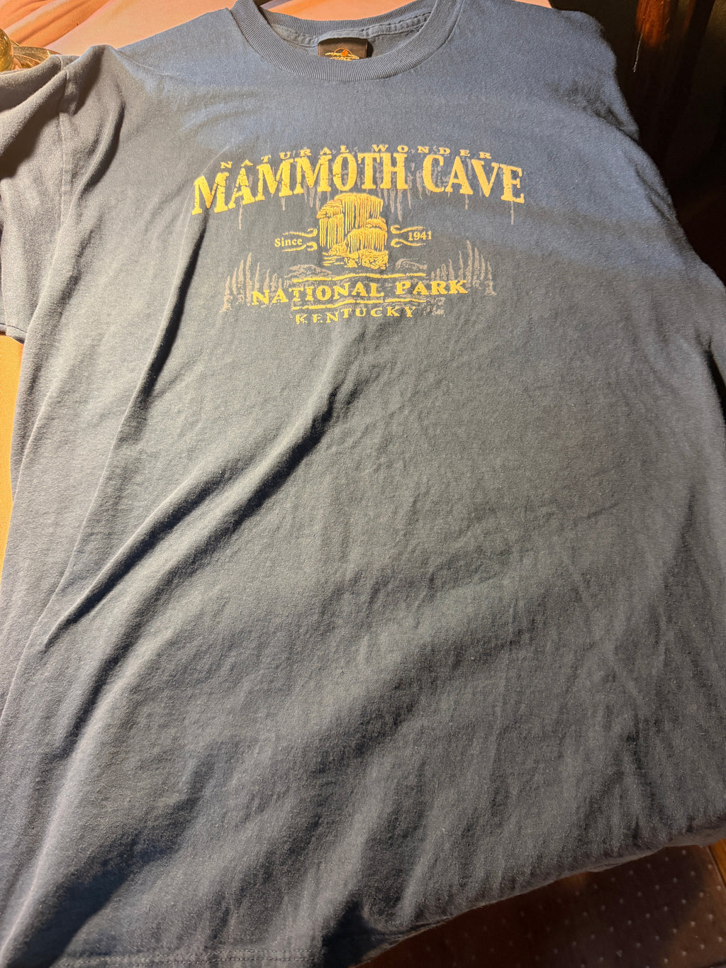 Prairie Mountain Mammoth Cave National Park Graphic Tee – Size L