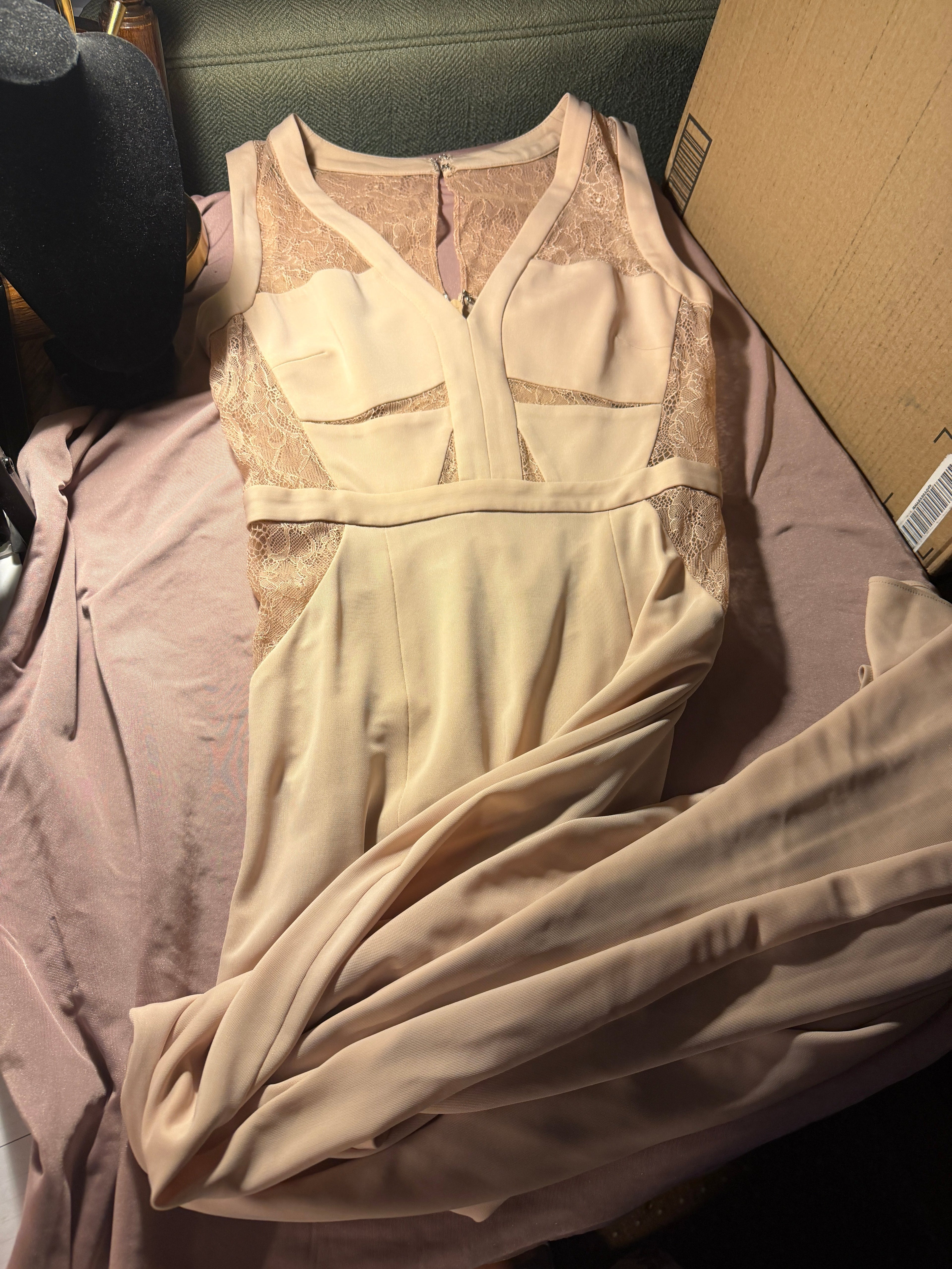 Blush Lace BCBG-Maxazria Beautiful Dress