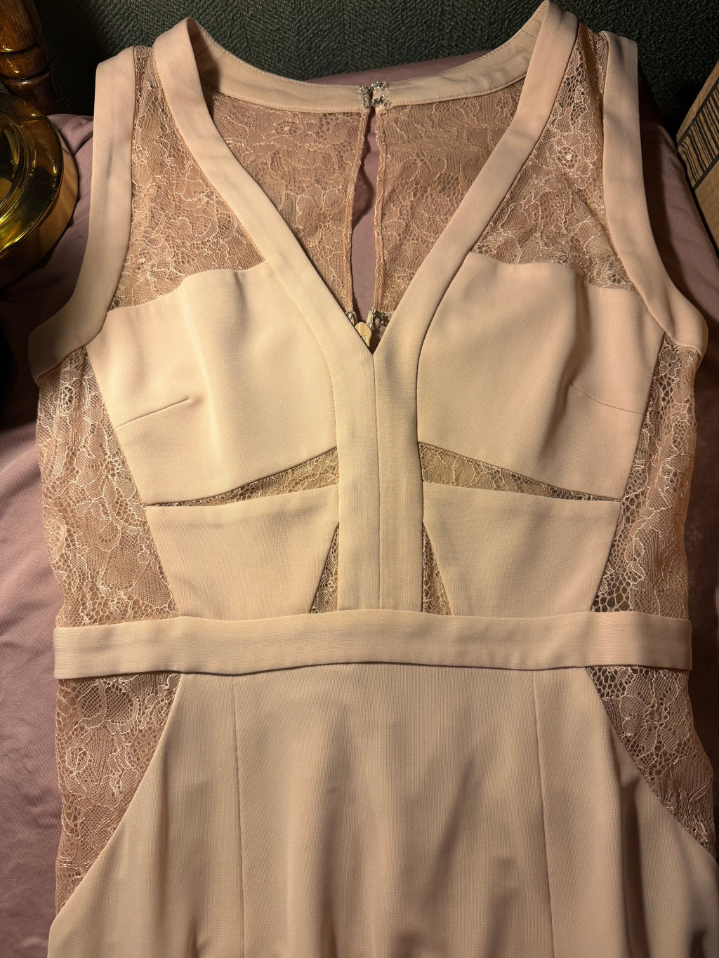 Blush Lace BCBG-Maxazria Beautiful Dress