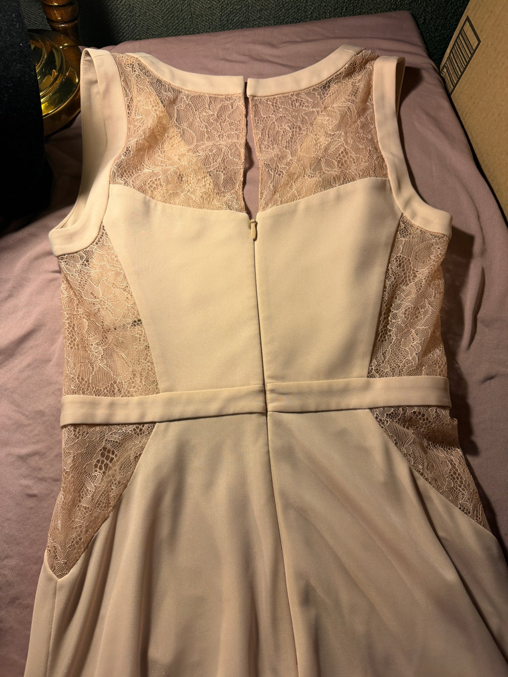 Blush Lace BCBG-Maxazria Beautiful Dress