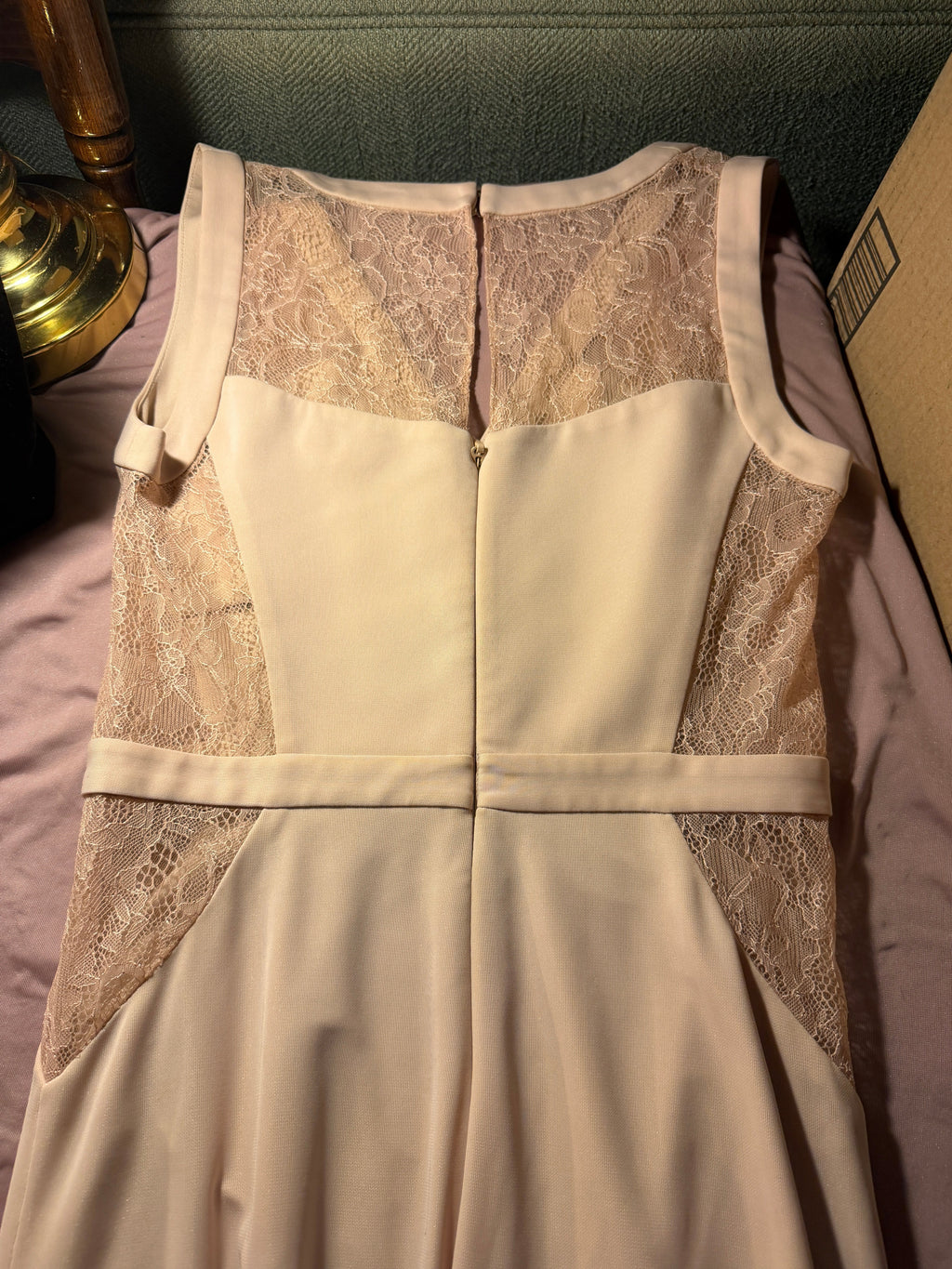 Blush Lace BCBG-Maxazria Beautiful Dress