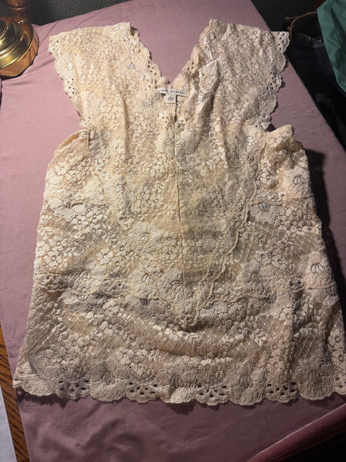 Banana Republic Ivory Lace Mini Dress